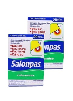 Salonpas 2-PACK Pain Relief Patch, Joint Pain Relief, 20pcs*2  - Image 1