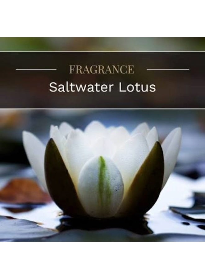 CANDLE-LITE Saltwater Lotus Scented Jar Candle - 6.5oz Natural Wax Blend - Image 3