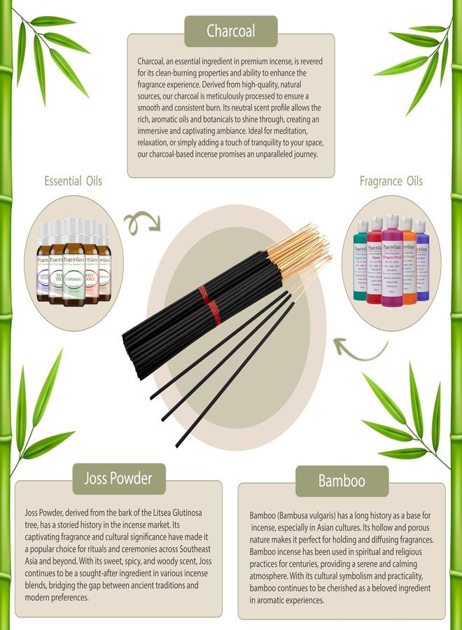 بلانت جورو أعواد بخور رين فورست فانتسي إكزوتيك جامبو بطول 19 بوصة - عبوة واحدة تحتوي على 27 إلى 30 عودًا - طبيعي 19 بوصة كبير جدًا برائحة ناعمة تحترق لمدة 3 إلى 4 ساعات لكل عود. - Image 3