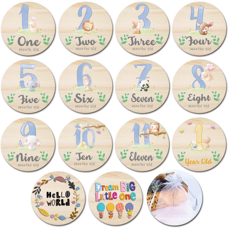 Baby Monthly Milestone Cards for Newborn Girl or BoyMonthly Baby Milestone Newborn Sign Baby Month Anniversary CardsBaby Shower Cards Come with Organza Gift Bag Milestone Blocks