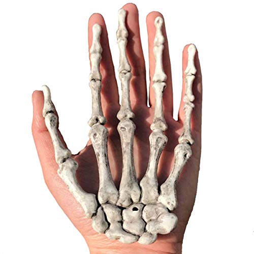 XONOR 5 Pairs Halloween Skeleton Hands Realistic Plastic Fake Human Hands for Halloween Zombie Party Terror Scary Props - Image 4