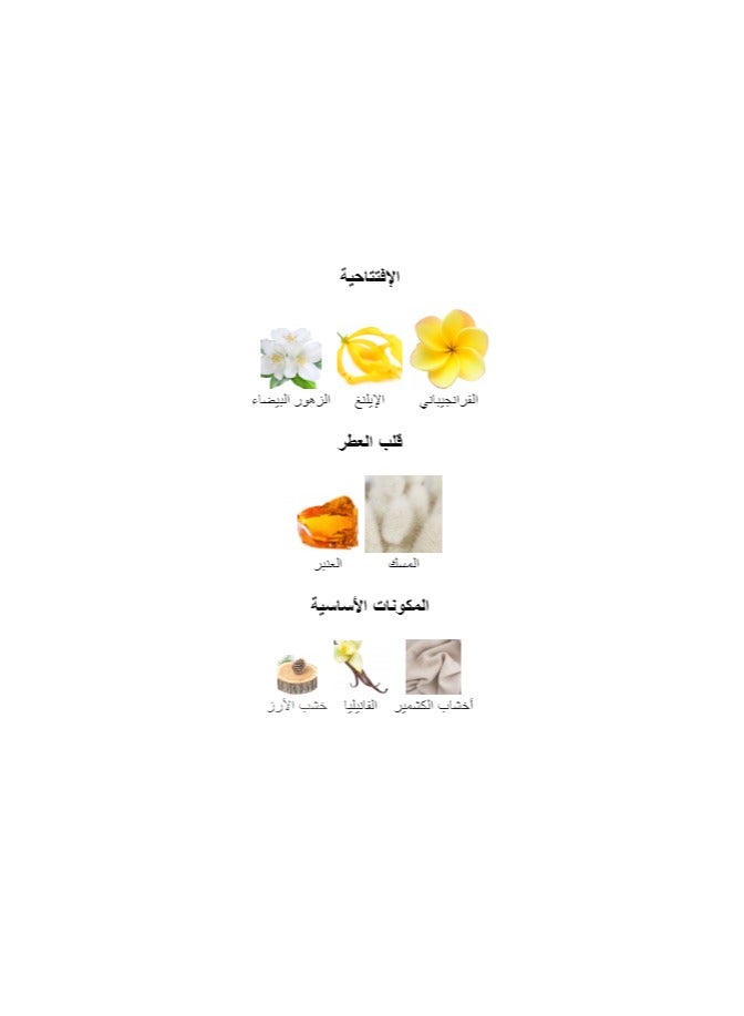 Milestone Narcisa Amber For Women EDP 100ml - Image 4