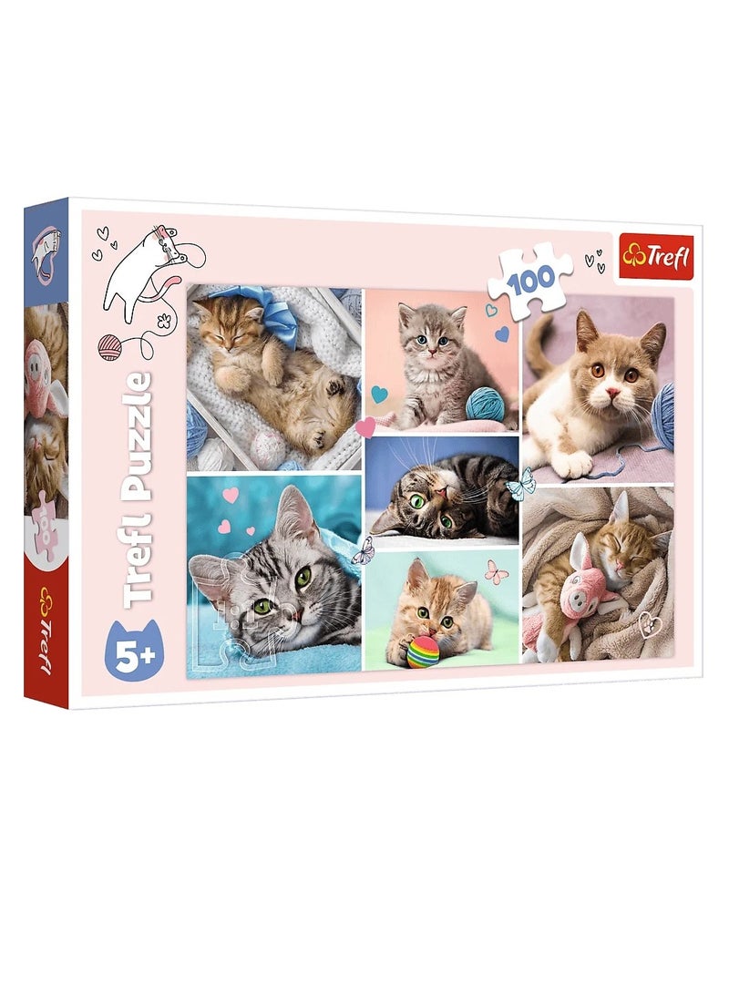 Trefl Puzzles - "100" - In the cat world / Trefl - Image 1