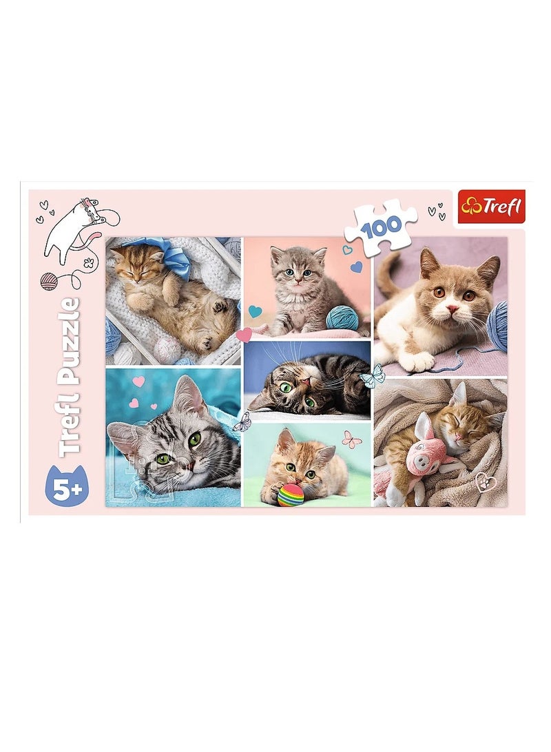 Trefl Puzzles - "100" - In the cat world / Trefl - Image 3