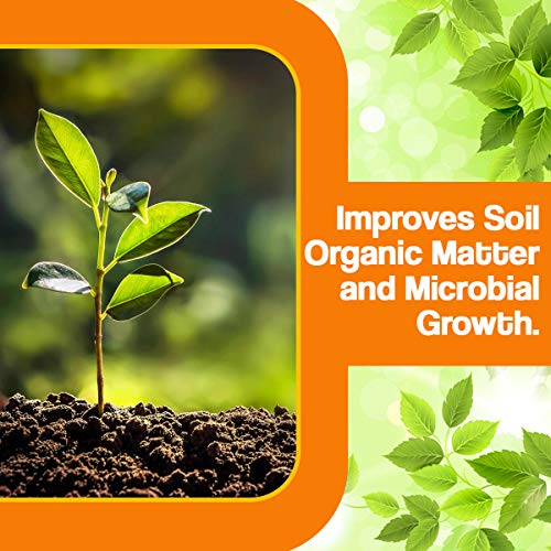 OrganicDews Organic Humic Acid 98 Fertilizer (Water Soluble) Shiny Flakes for Plants 2 Kg - Plant Growth Enhancer, Soil Conditioner, Improves Plant Root System - Image 2