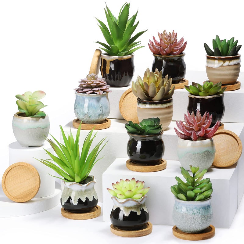 Remerry 12 Pcs Small Succulent Pots Bulk with Drainage Assorted 2.5 Inch Mini Ceramic Succulent Planters Pot with Coaster Bamboo Plant Tray Planting Pots for Home Office Garden (Rich Color) - Image 1