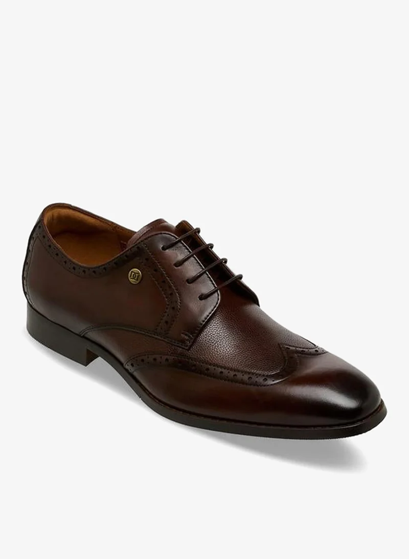 DUCHINI BROWN Men Lace-Up Leather Derby Shoes for Men | Best Price UAE