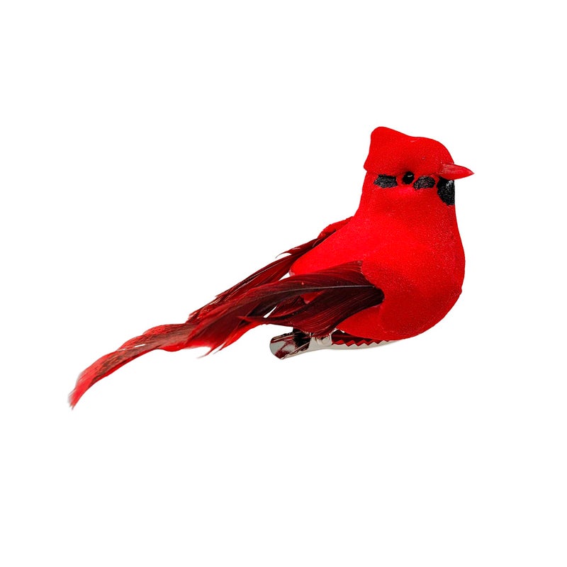 Berfutall مقطع Berfutall -Cardinal على زينة زخرفة شجرة عيد الميلاد - ريش أحمر من 12 قطعة لكل منها 2.8 "" LON (C) - Image 5