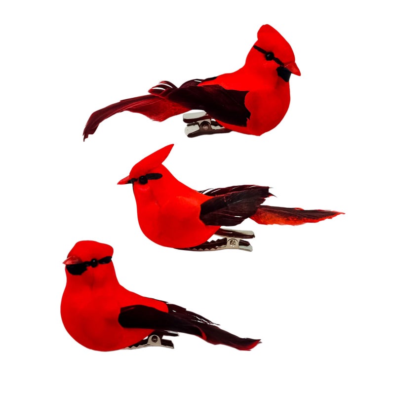 Berfutall مقطع Berfutall -Cardinal على زينة زخرفة شجرة عيد الميلاد - ريش أحمر من 12 قطعة لكل منها 2.8 "" LON (C) - Image 4