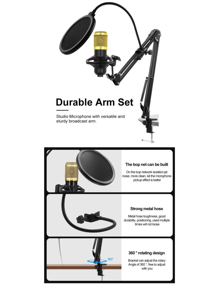 Condenser Microphone Set Microphone Kit with Live V8s Sound Card, Adjustable Microphone Suspension Scissor Arm BM8006 Black