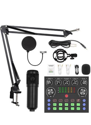 Condenser Microphone Set Microphone Kit with Live V8s Sound Card, Adjustable Microphone Suspension Scissor Arm BM8006 Black - pzsku/Z0D5588F411D2AD470C76Z/45/1741856074/e0cccebe-d687-4823-9dd8-d1e44394ad3b
