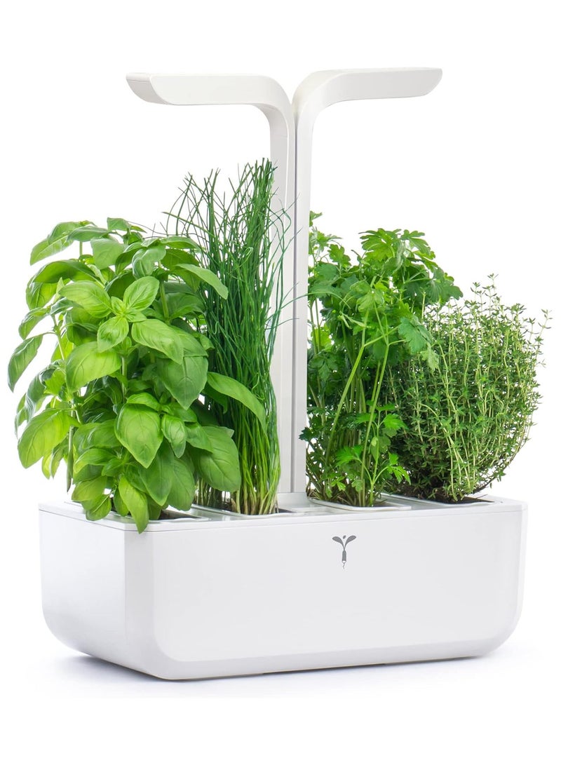 Veritable Veritable - Classic Indoor Vegetable Organic Garden With 4 Lingots - White - Made in France  - Image 2