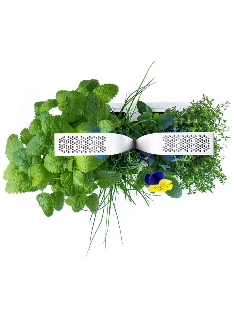 Veritable Veritable - Classic Indoor Vegetable Organic Garden With 4 Lingots - White - Made in France  - Image 3