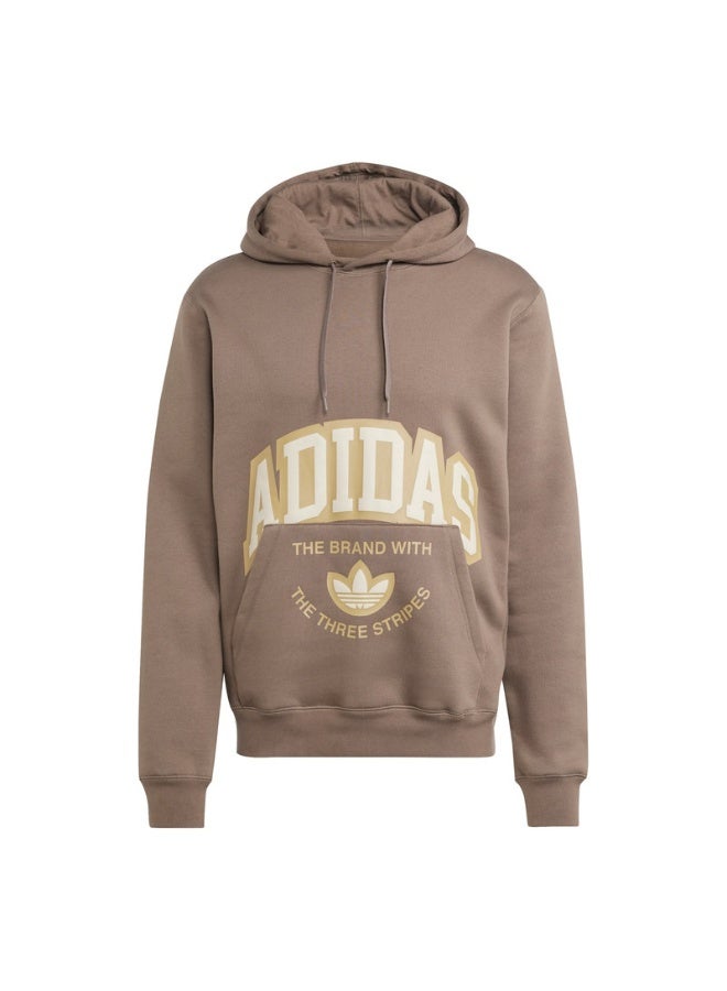 Adidas adidas VRCT HOODIE Brown Originals Men SWEATSHIRTS  - Image 1
