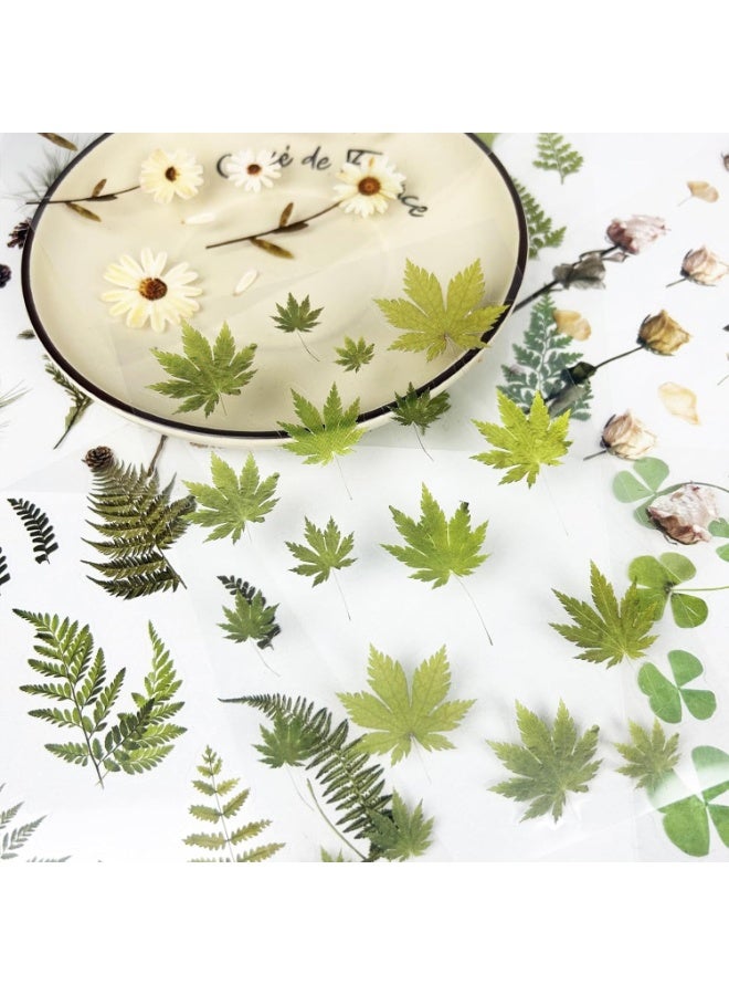 400PCS Plants Floral Scrapbook Stickers Kit Vintage Fern Flowers Green Transparent Waterproof Stickers Book for Scrapbooking Supplies Aesthetic Junk Journal Journaling Craft 20-Page - Image 4