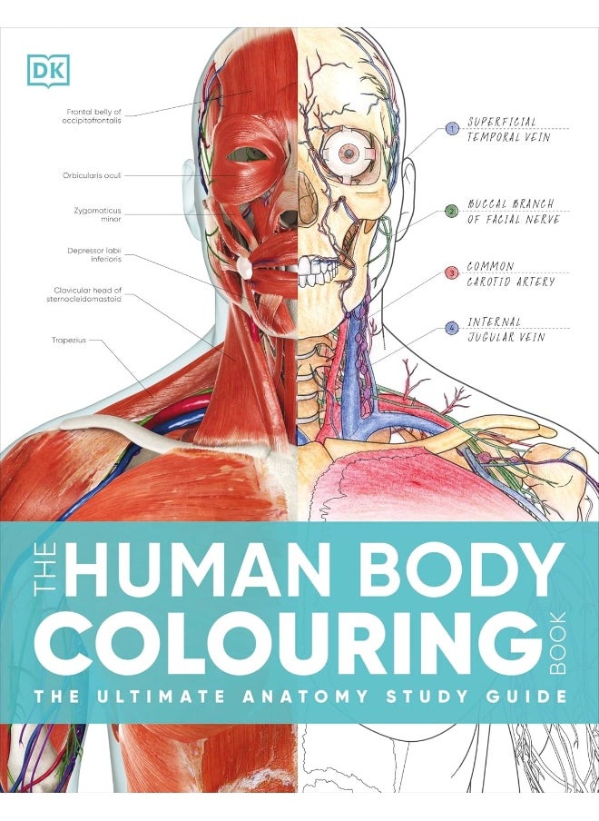 The Human Body Colouring Book: The Ultimate Anatomy Study Guide  - Image 1