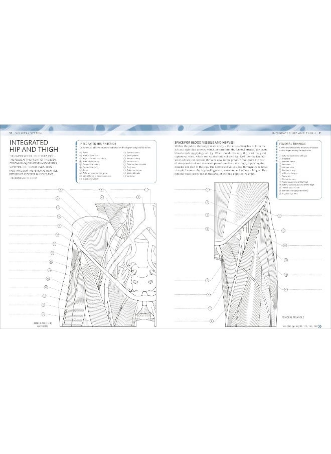 The Human Body Colouring Book: The Ultimate Anatomy Study Guide  - Image 2