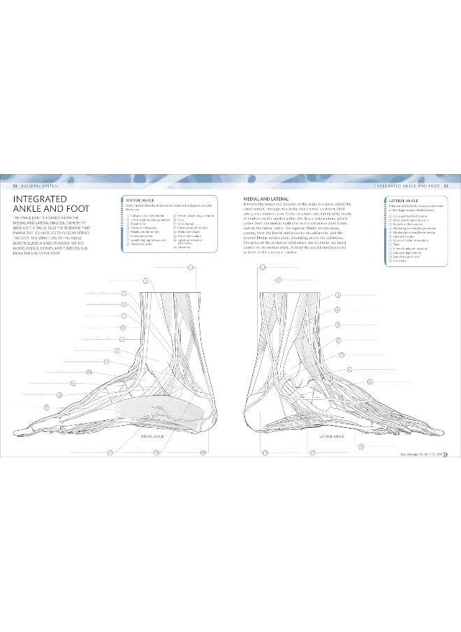 The Human Body Colouring Book: The Ultimate Anatomy Study Guide  - Image 5
