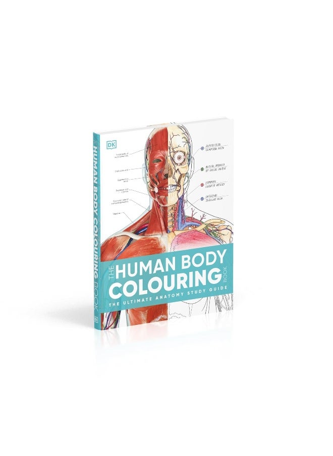 The Human Body Colouring Book: The Ultimate Anatomy Study Guide  - Image 3