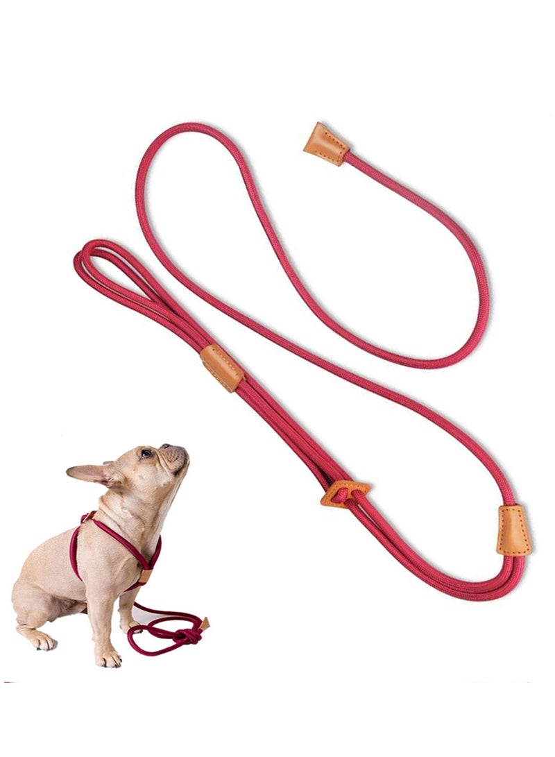 SOLARAE Dog Leashes for Medium Dogs Adjustable Nylon Collar and Leash in One with Reflective Stripe for Safe Outdoor Walking Suitable for Small Medium and Large Dogs - Image 1