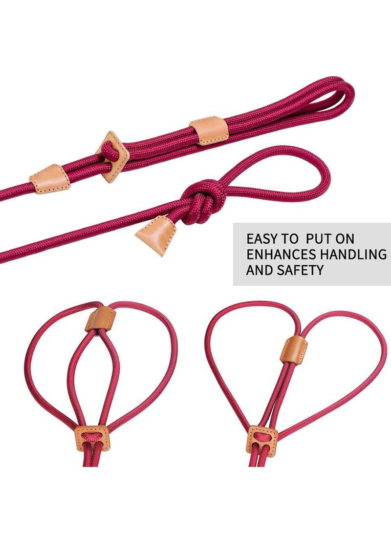 SOLARAE Dog Leashes for Medium Dogs Adjustable Nylon Collar and Leash in One with Reflective Stripe for Safe Outdoor Walking Suitable for Small Medium and Large Dogs - Image 4