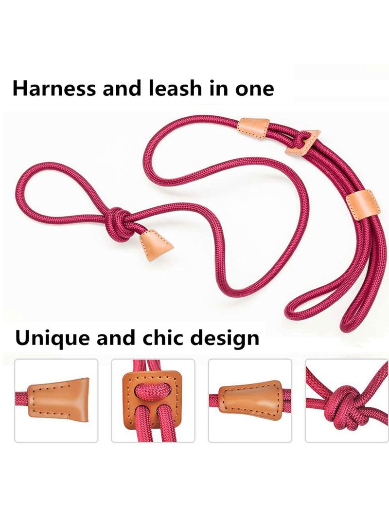 SOLARAE Dog Leashes for Medium Dogs Adjustable Nylon Collar and Leash in One with Reflective Stripe for Safe Outdoor Walking Suitable for Small Medium and Large Dogs - Image 3