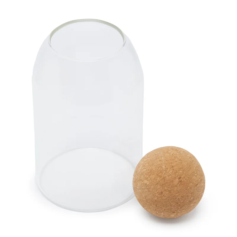 Simply Kitchen Large Borosilicate Glass Jar