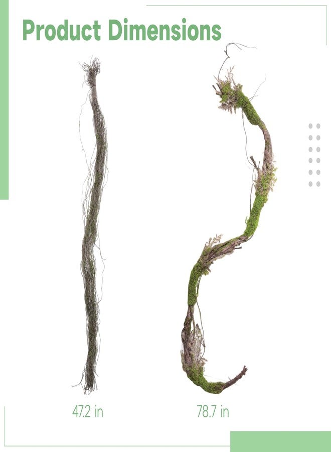 DORMIYA 78.7 in Artificial Moss Vine with Moss Threads, Realistic Greenery Garland Vine for Home Decor, Bendable Faux Grapevine Forest Decor for Room Wedding Home Habitat Front Door Wrap Decoration - Image 4