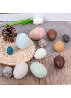 Cordova 12pcs set wooden toy bird egg color preschool learning toys  - Image 2