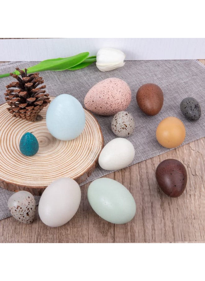 Cordova 12pcs set wooden toy bird egg color preschool learning toys  - Image 2