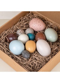 Cordova 12pcs set wooden toy bird egg color preschool learning toys  - Image 5