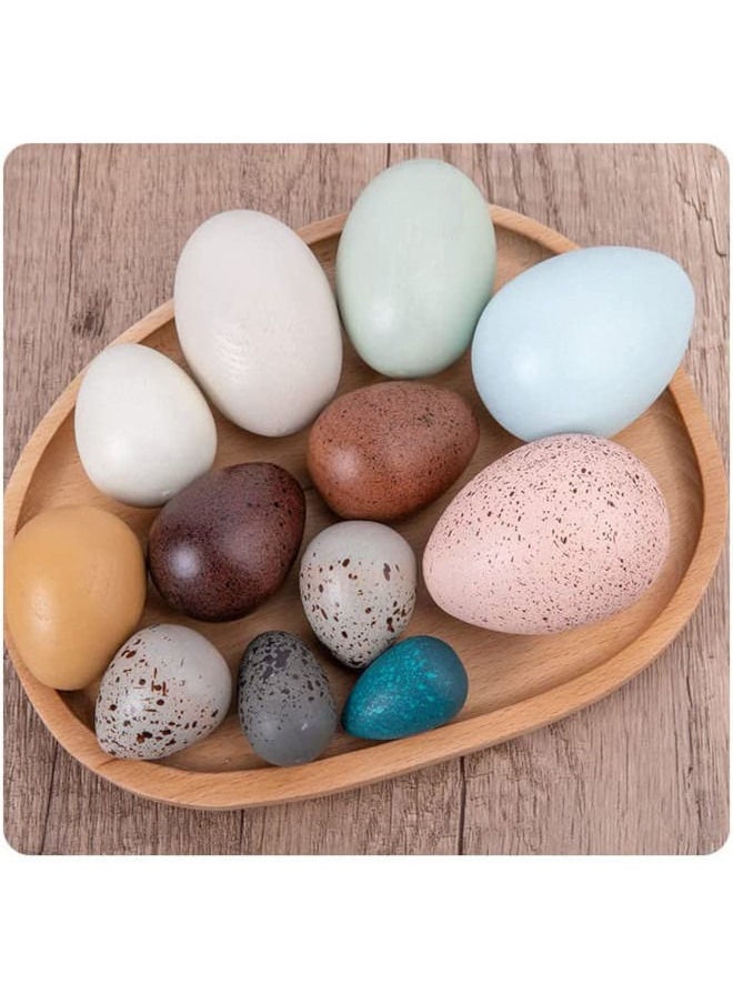 12pcs set wooden toy bird egg color preschool learning toys - pzsku/Z0D5D006050C57845D26AZ/45/_/1657527983/b45efa5b-9842-44bf-9419-fc87e4743665