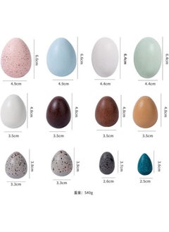 Cordova 12pcs set wooden toy bird egg color preschool learning toys  - Image 3