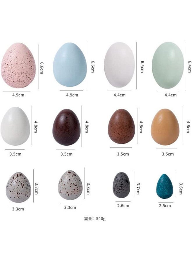Cordova 12pcs set wooden toy bird egg color preschool learning toys  - Image 3