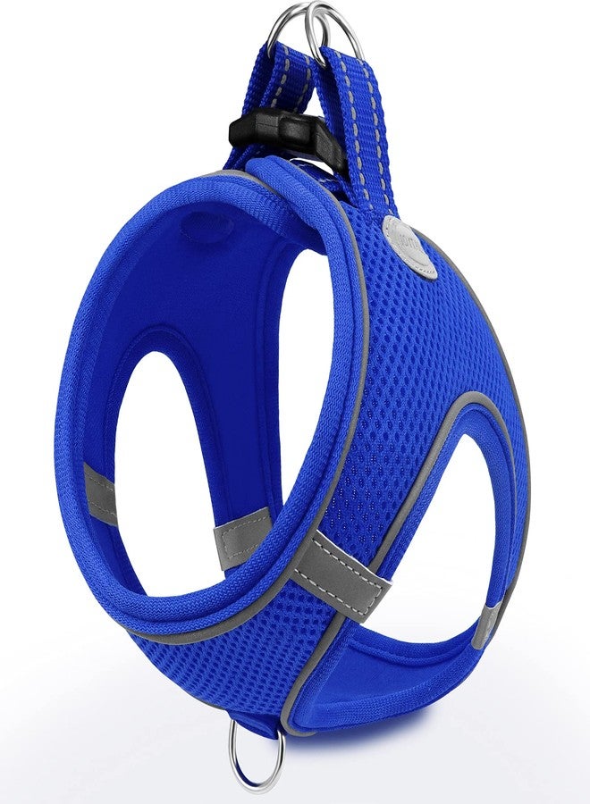 Joytale Small Dog Harness, Breathable Mesh Step-in Vest, Reflective Soft Padded Harnesses for Puppies and Extra Small Dogs, Navy Blue, XS - Image 1