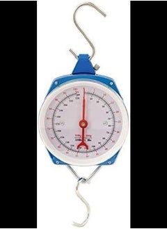 Hanging Scale 100 KG Capacity