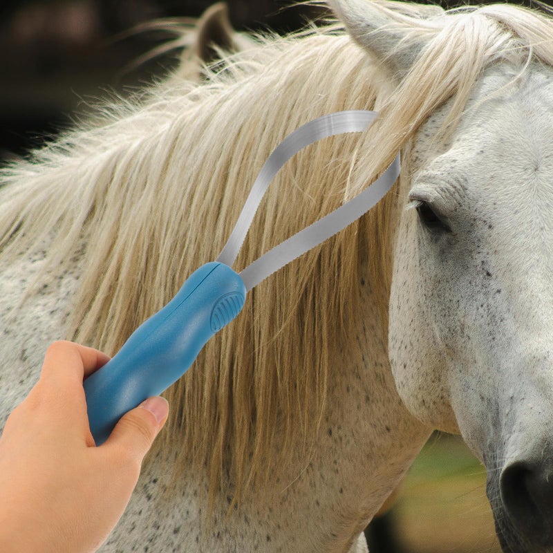 Stainless Steel Horse Hair Shedding Brush with Serrated Scraper for Cattle and Dog Grooming - Image 5