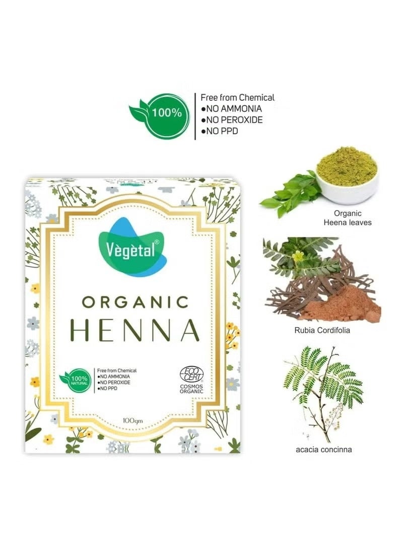 Vegetal Certified Organic and Herbal Henna Powder, for Natural Hair Coloring, Prevent Early Greying & Protects hair Damage from Chemical Hair Color - 100g - Image 3