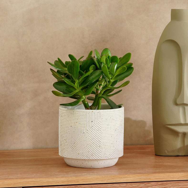 Pan Home Midori Terracotta Planter 14x14x12cm - White