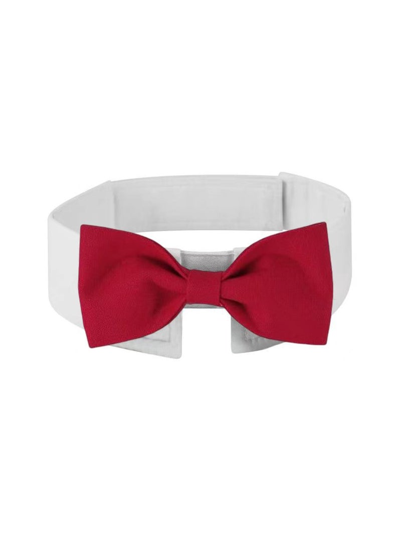 Loquat Pet Bow Tie Collar for Cats  Dogs, Red, L - Image 1