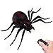 Tipmant RC Spider Remote Control Car Vehicle Animal Scary Prank Toys Electric Electronic Siumlation Fake Kids Birthday Gifts Black - Image 4