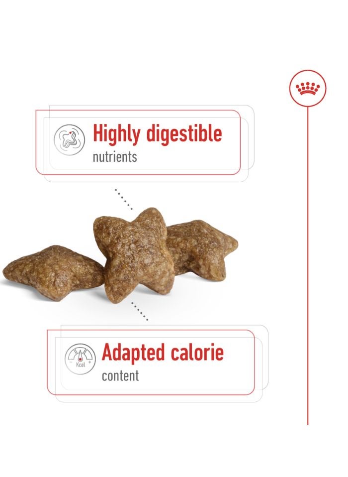 ROYAL CANIN Size Health Nutrition Mini Adult 8 KG - Image 2