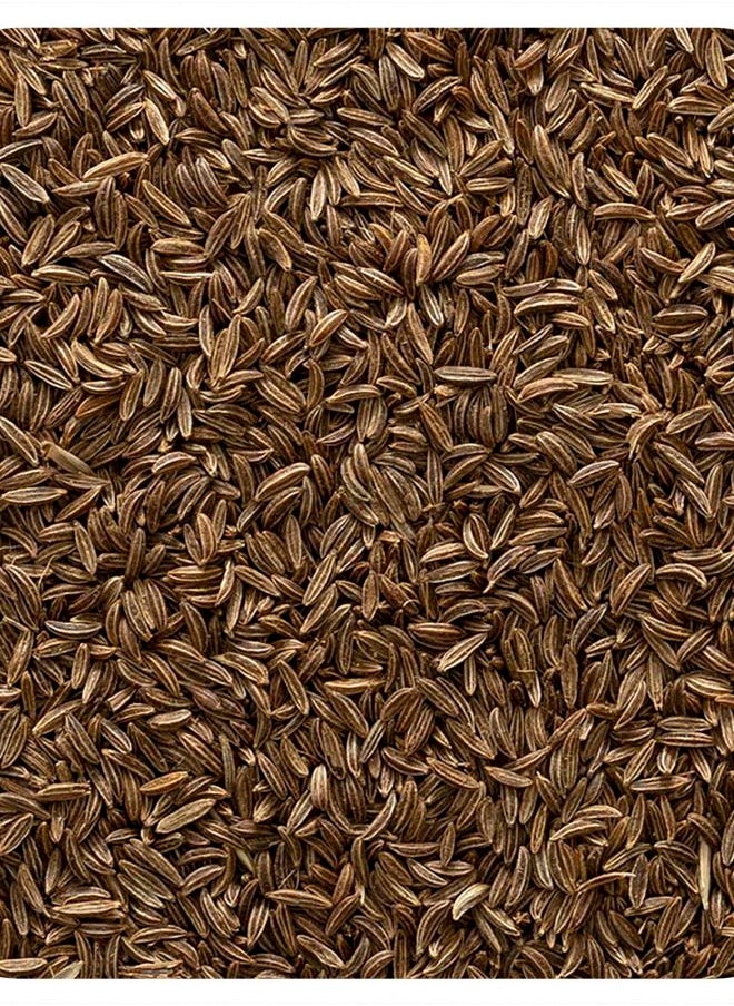 Whole Caraway Seed 16 oz (453 g) - pzsku/Z0D645649D7163FD7174DZ/45/_/1740571606/2a0d7123-1452-4931-adfb-74883d926c15