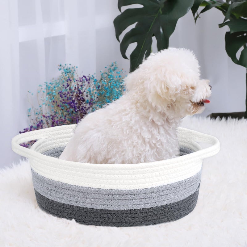 ABenkle Small Basket, 12"x 8" x 5" Cute Small Woven Basket, Rope Room Shelf Storage Basket, Cat Dog Toys Basket Chest Box, Decorative Empty Gift Basket with Handles - White & Grey & Dark Grey - Image 4