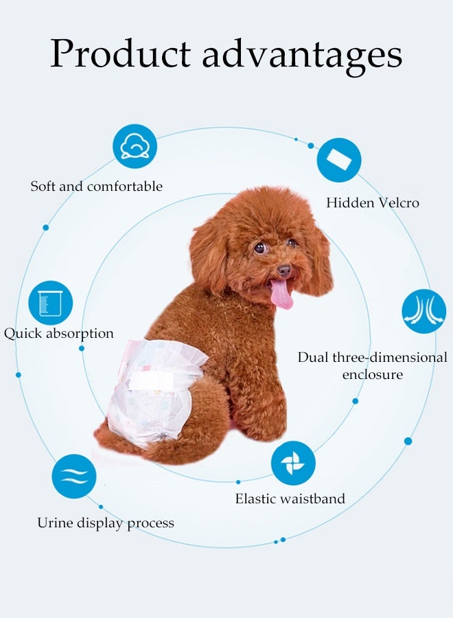 DUNISO 10 Pcs Disposable Pet Diapers， Disposable Pet Diapers，Highly Absorbent, Leak Proof，Velcro Design，Recommended For Male Dogs Weighing 4-8 KG（M） - Image 3