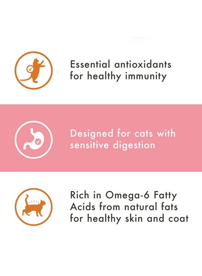 نوترو طعام القطط الجاف الطبيعي Wholesome Essentials، وصفة الدجاج والأرز والبازلاء للقطط الحساسة، كيس 3 رطل - Image 2