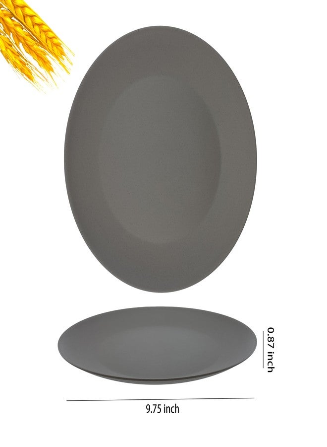 WEXINHAO 10 inch Wheat Straw Plate, Unbreakable Flat Dinner Plates Set of 8, BPA Free Dishwasher & Microwave Safe Reusable Salad, Camping for Kids Kitchen (Grey Stone) - Image 3