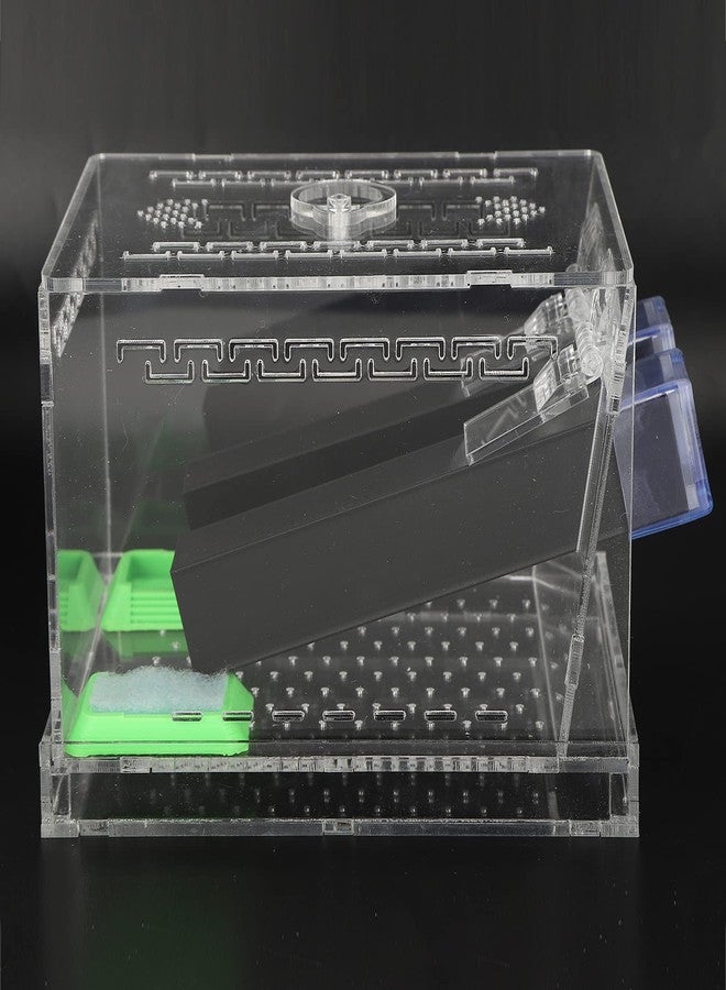 FASJ Cricket Keeper Tank Box, Cricket Care Kit Durable and Sturdy Equipped with Water/Food Feeding Tub for Office for Home(L) - Image 3