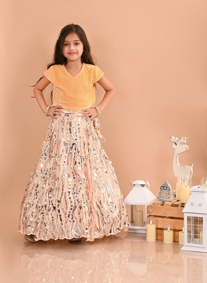 LILPICKS Girls Lehenga Choli Set 