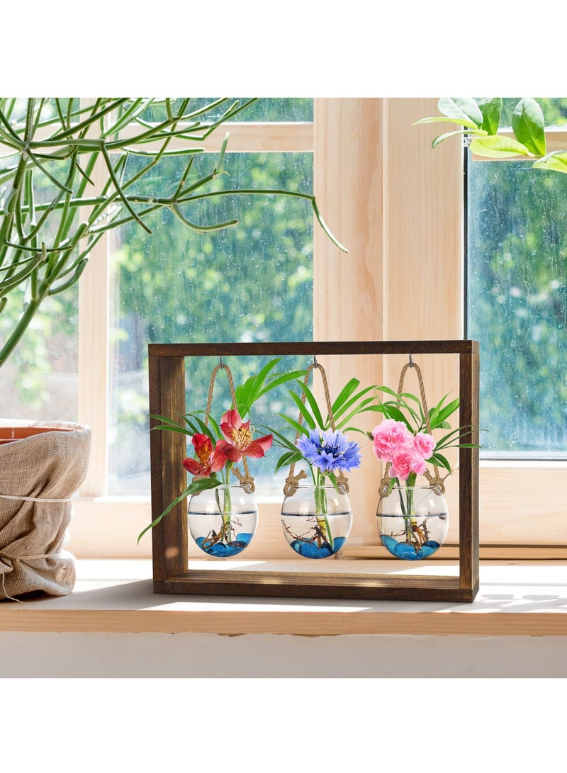 Generic Desktop Hydroponic Plant Propagation Station with Wooden Stand, Stylish Glass Planters for Air Plants, Ideal for Home and Office Decor, Ideal Gift for Plant Lovers  - Image 4
